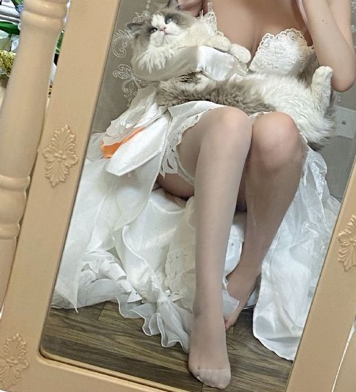 黄色网址视频免费_BD英语高清在线观看